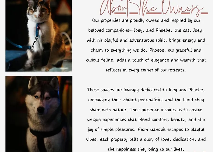 Hostel 360 Degree, Riverside Stay, Old Manali